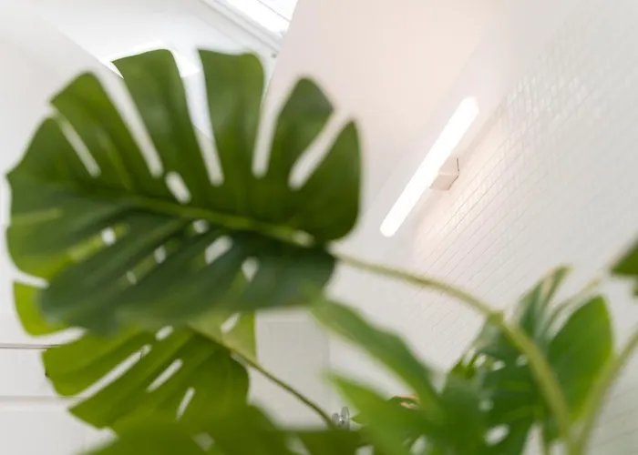 公寓 Guestready - Spacious And Modern W/ Skylight *